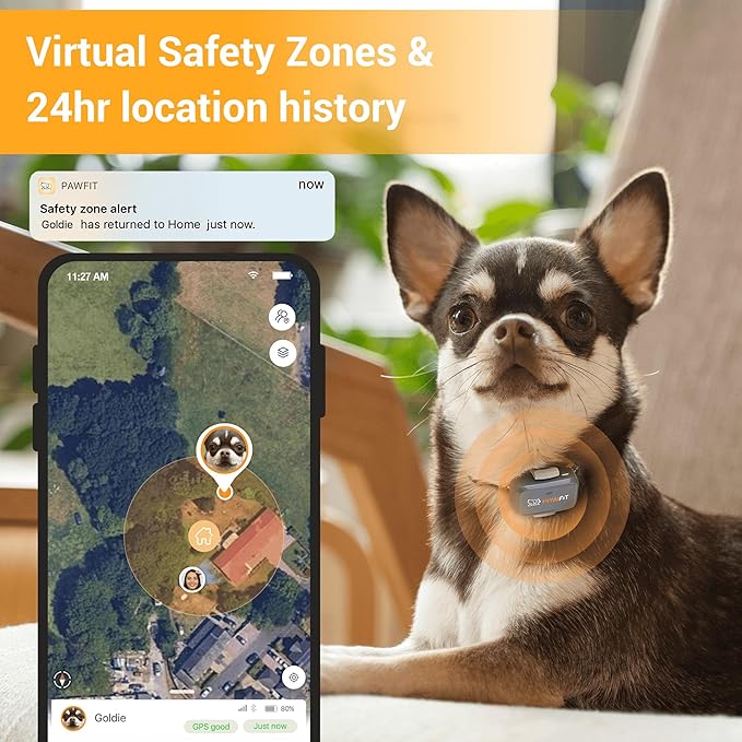 Pawfit Lite for Small Dogs 4g GPS Tracker | Real Time Tracking | Activity - Image 3