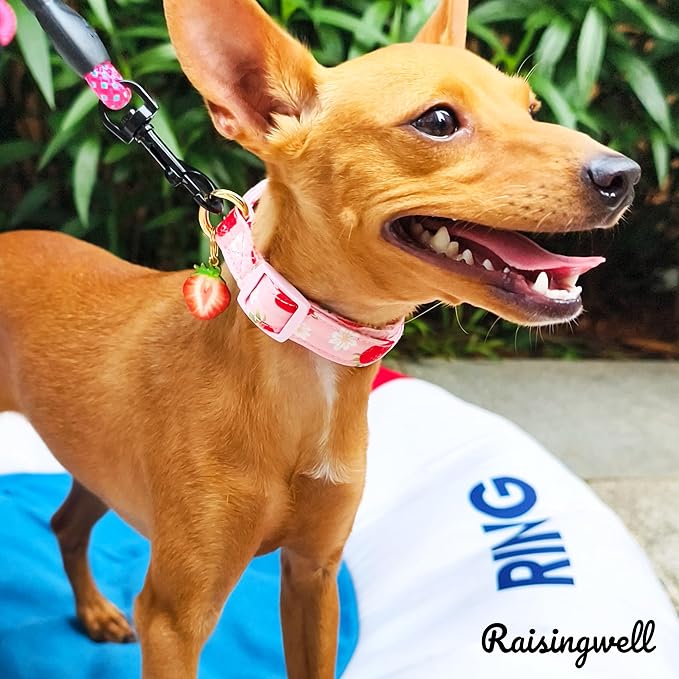 Cute Dog Collar Strawberry Pattern - Image 6