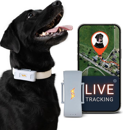 PAJ GPS Tracker for Dogs - 4G GPS Collar Tag - Waterproof & Up to 10 Days by PAJGPS