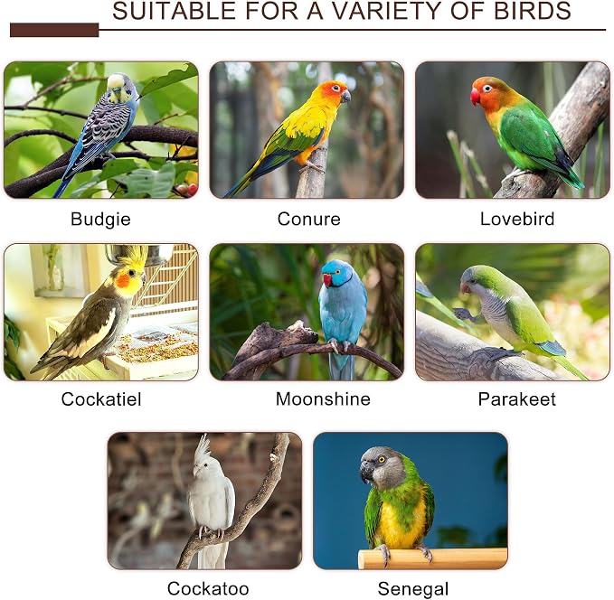7PCS Bird Perches, Natural Wood Parrot Perch Stand, Bird Perch Chewing Stick - Image 8