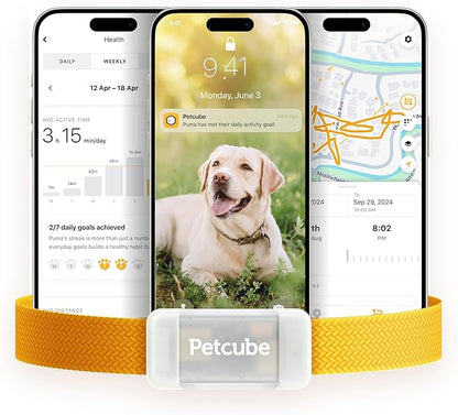 Petcube GPS Tracker for Dogs | Pet GPS Location Tracker by Petcube