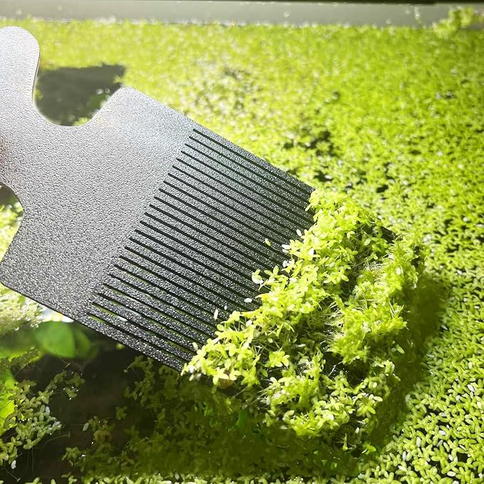 Aquarium Duckweed Removal Tool, 6.5 x 3 inch Floating Plant Comb Spatula - Image 2
