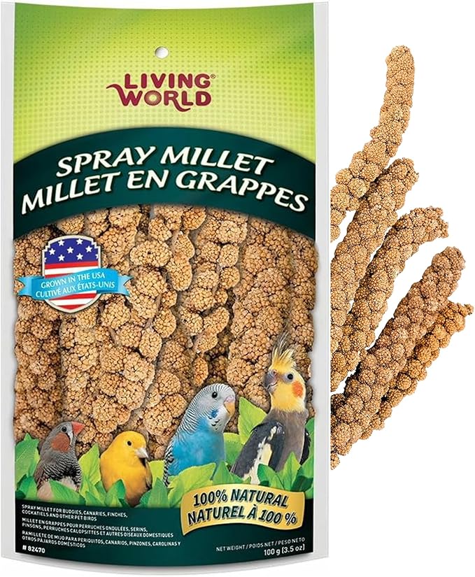Living World - Millet Spray for Birds, 3.5 Oz – Premium Treat for Budgies by LivingWorld
