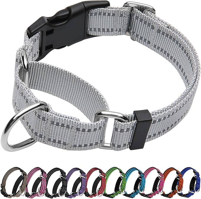Martingale Dog Collar, Adjustable Nylon Reflective Collar by JOYEEIIOO