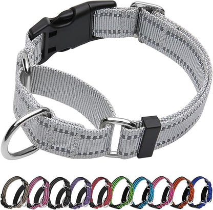 Martingale Dog Collar, Adjustable Nylon Reflective Collar by JOYEEIIOO