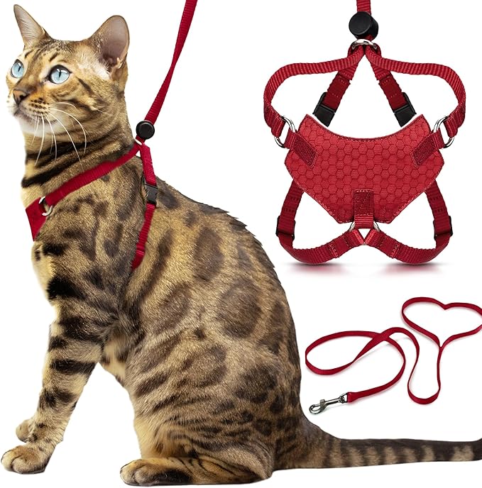 Houdini™ Escape Proof Kitten Harness and Leash Set by OutdoorBengal – Red by OutdoorBengal