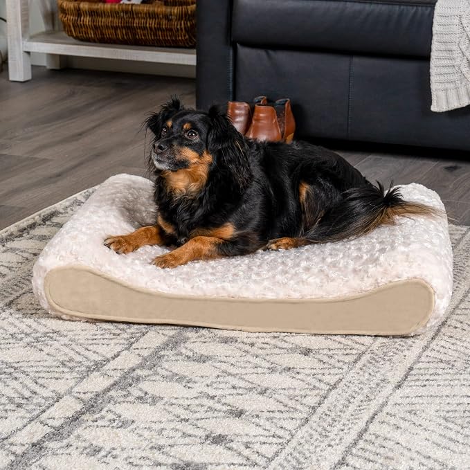 Furhaven Orthopedic Dog Bed for Medium/Small Dogs w/ Removable Washable Cover - Image 2
