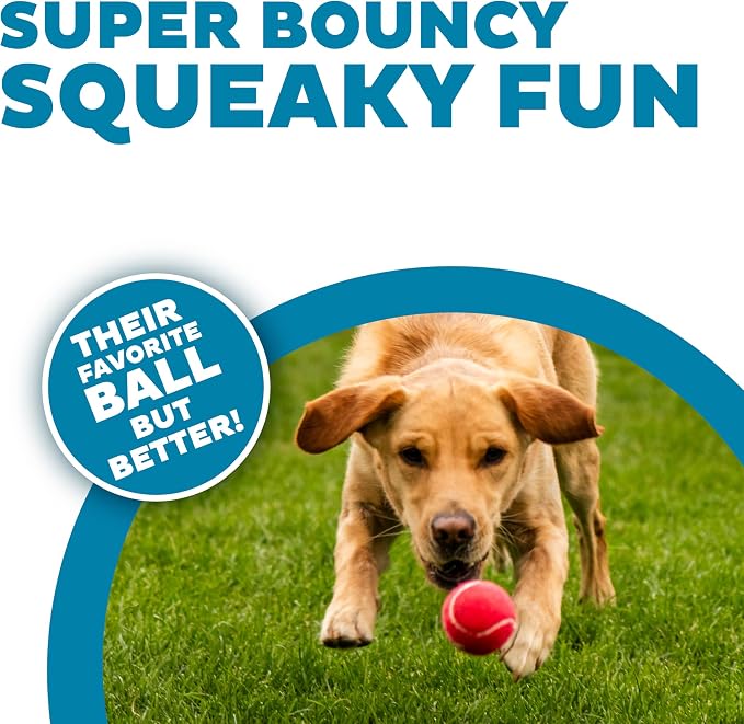 Outward Hound Squeaker Ballz – Squeaky Tennis Balls - Image 2