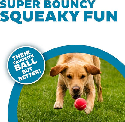 Outward Hound Squeaker Ballz – Squeaky Tennis Balls - Image 2