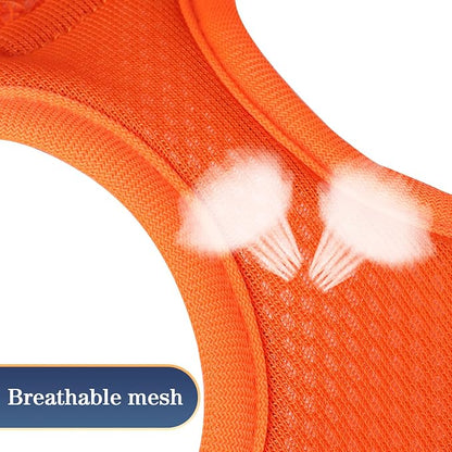 YIMEIS Dog Harness and Leash Set, No Pull Soft Mesh Pet Harness, Reflective - Image 5