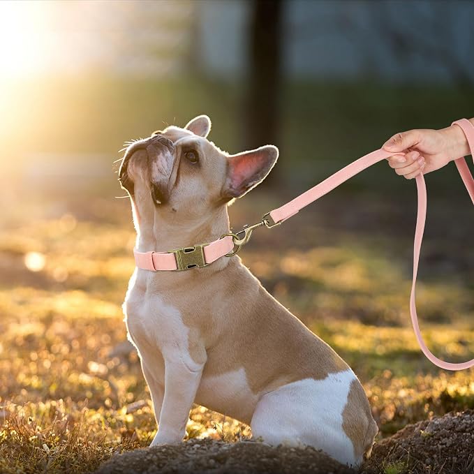 Didog Soft PU Leather Dog Collar, Stylish Quick Released Dog Collars - Image 3