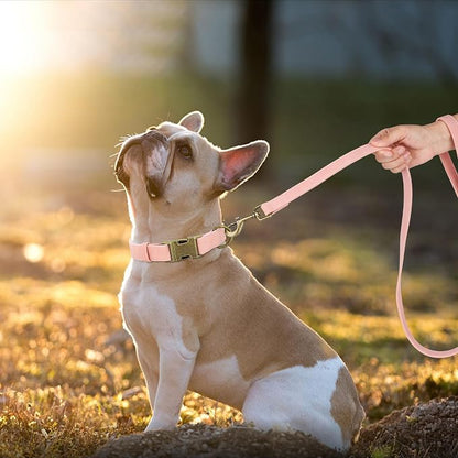 Didog Soft PU Leather Dog Collar, Stylish Quick Released Dog Collars - Image 3