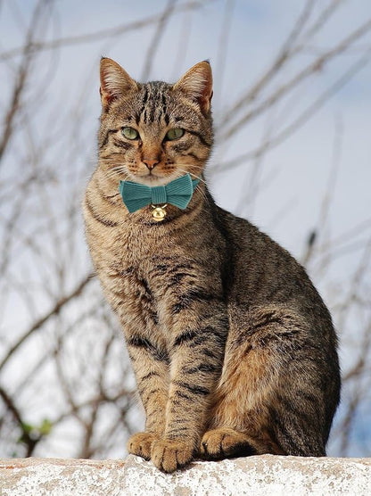 2 Pack Soft Corduroy Cat Collars - Image 5