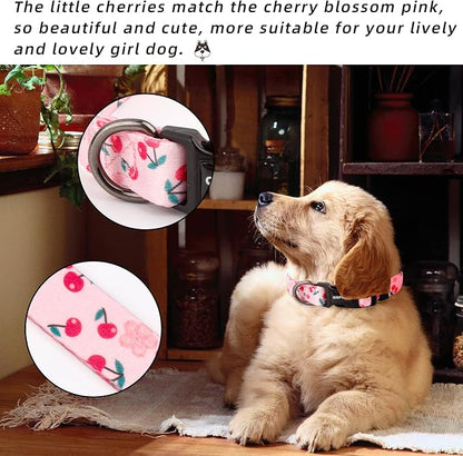 QQPETS Adjustable Soft Dog Collar: Print Flower Pink Multicolor Cute Patterns - Image 2