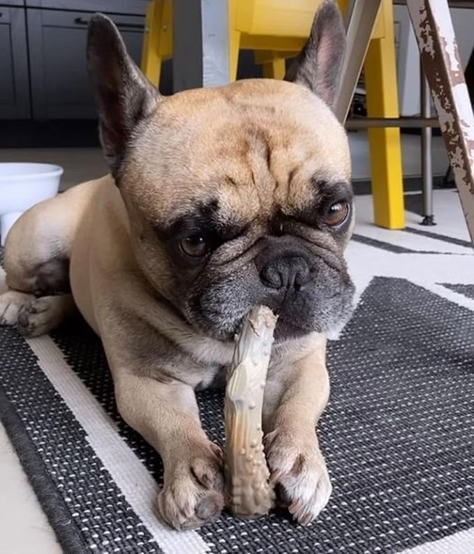Nylabone Power Chew Antler Alternative Nylon Chew Toy - Image 4