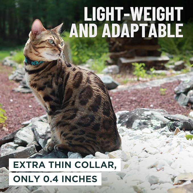 OutdoorBengal Orange Cat Collar Breakaway, Soft Padding - Image 6