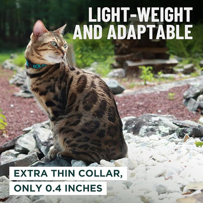 OutdoorBengal Green Cat Collar Breakaway, Soft Padding - Image 6