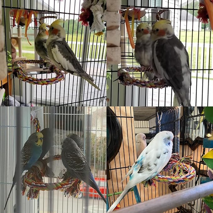Colorday 7" Bird Mirror with Rope Perch, Bird Swing, Parrot Cage Toys - Image 7
