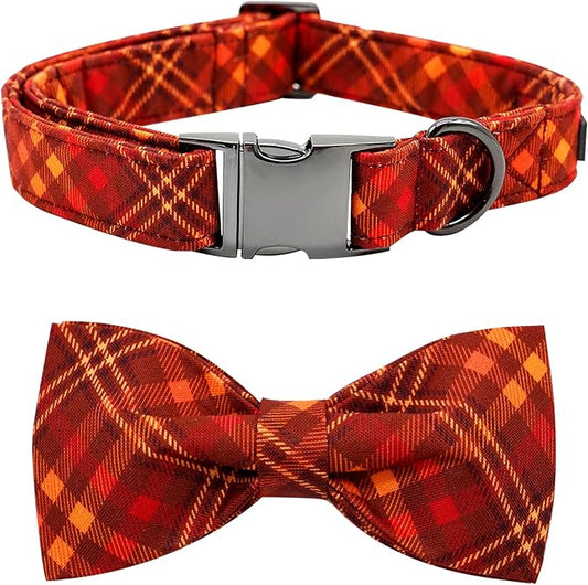 Fall Dog Collar, Pet Collar by BoboRainbow