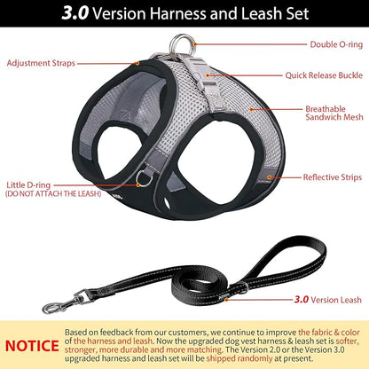 AIITLE Small Harness for Puppy - Image 4