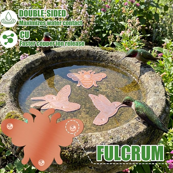 4 Pack Bird Bath Copper Disk Bird Bath Purification Disk - Image 3