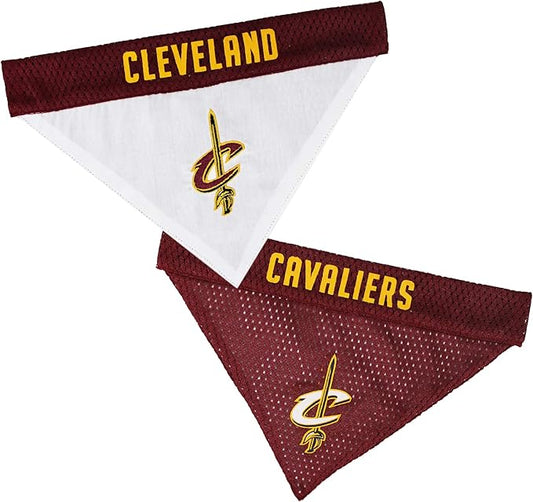 NBA Dog Bandana by PETSFIRST