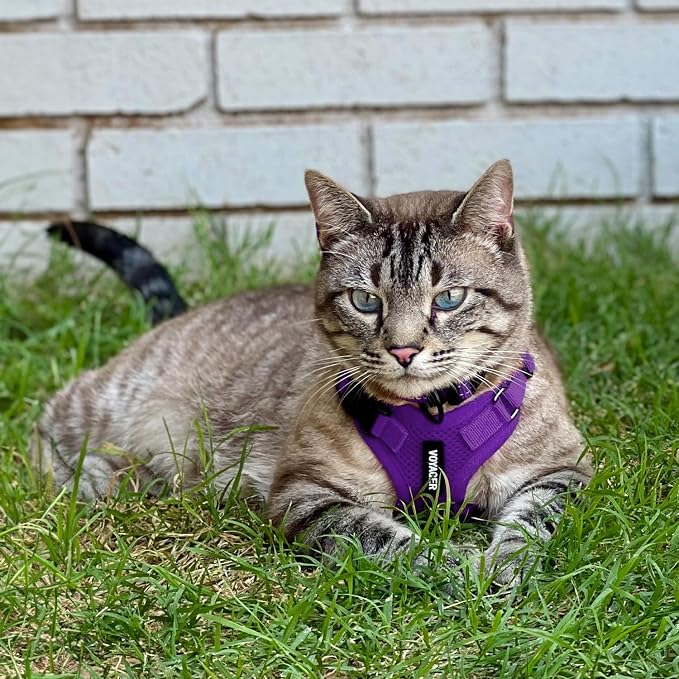 Voyager Escape-Proof Step-in Lock Cat Harness & 5ft Neoprene-Handle Leash Set - Image 6