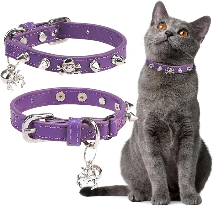 EXPAWLORER Leather Cat Collar for Girl Boy- Adjustable Pet Collar by EXPAWLORER