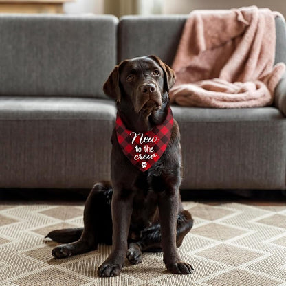 New Puppy Announcement Dog Bandana, Adopted Puppies Reveal Gift - Image 3