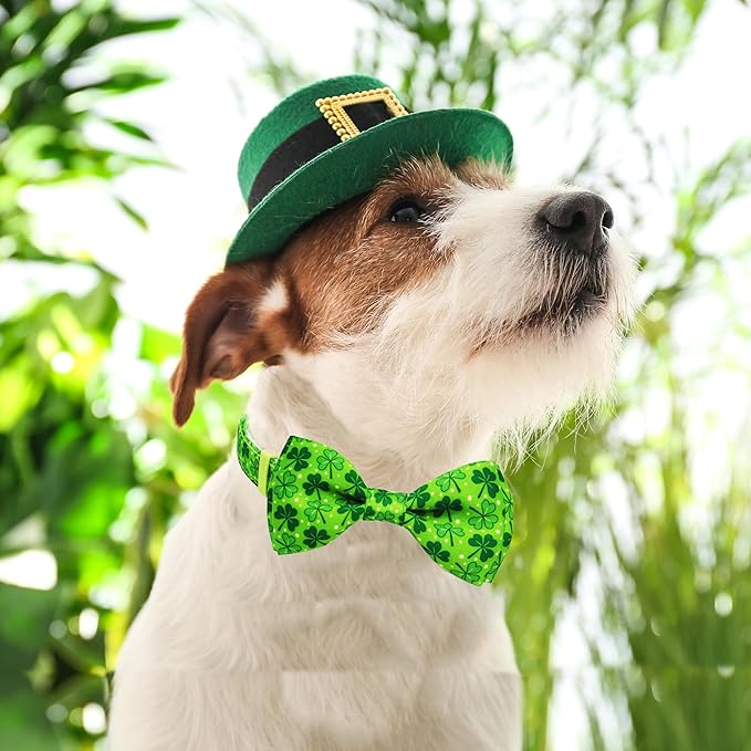St. Patrick's Day Dog Collar - Image 6