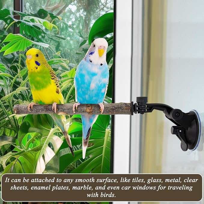 2 Pcs Parrot Perch Stand, Strong Suction Cup Bird Perch, Movable Perch Stand - Image 5