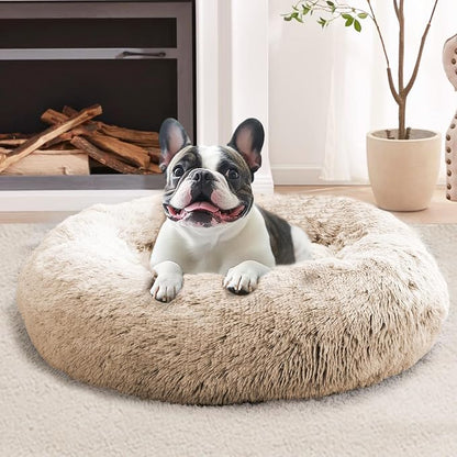 JOLLYVOGUE Calming Dog Bed Medium Size Dog, Anti-Anxiety Donut Medium Pet Bed by JOLLYVOGUE