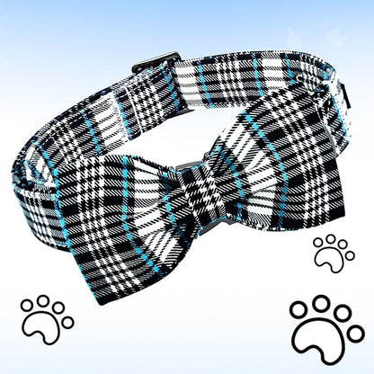 Lionheart glory Dog Bow Collar Blue and Black Plaid Dog Collar - Image 3