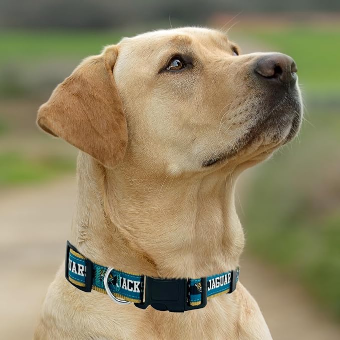 New & Improved Pets First NFL Licensed PET Collar- Heavy-Duty, and Durable New - Image 5