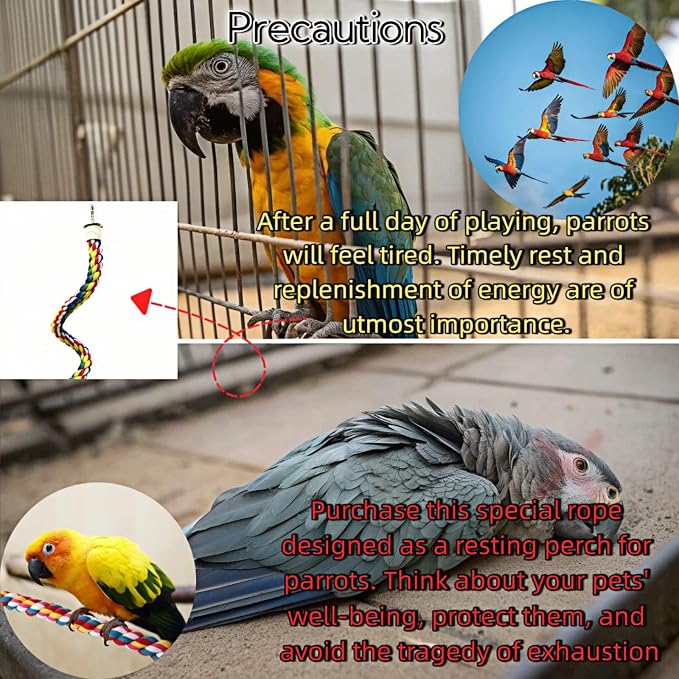 Bird Rope Perches, Parrot Toys, Bungee Rope Perches - Image 5