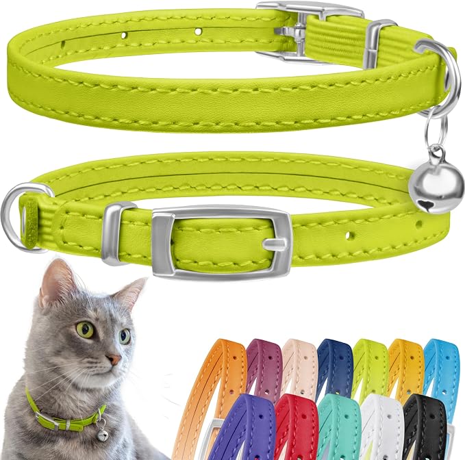 CollarDirect Leather Cat Collar, Kitten Collar by CollarDirect