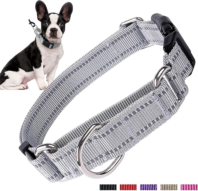 Hikiko Reflective Martingale Dog Collars - Image 6