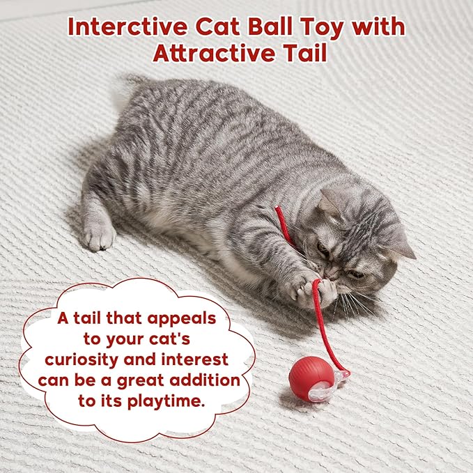 Interactive Dog & Cat Electric Active Toys, Smart Rolling Ball - Image 6