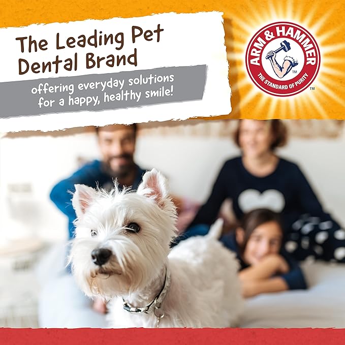 ARM & HAMMER for Pets Nubbies Wishbone Dog Dental Toy| Best Dog Chew Toy for - Image 6