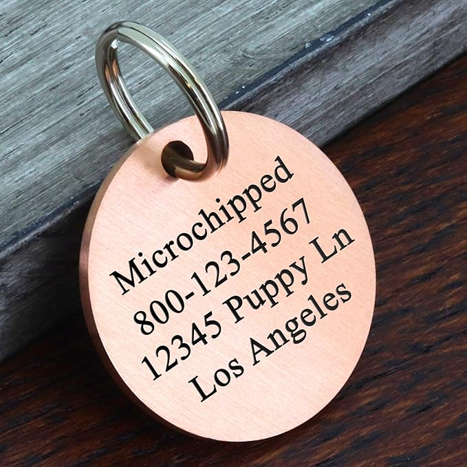 Ultra Joys Stainless Steel Pet ID Tag - Image 2