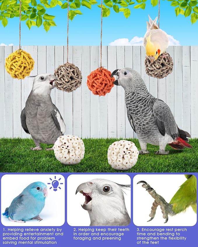 Bissap 6PCS Small Parrot Chew Toys, Sola Balls Conure Chewing Foraging Toys - Image 4