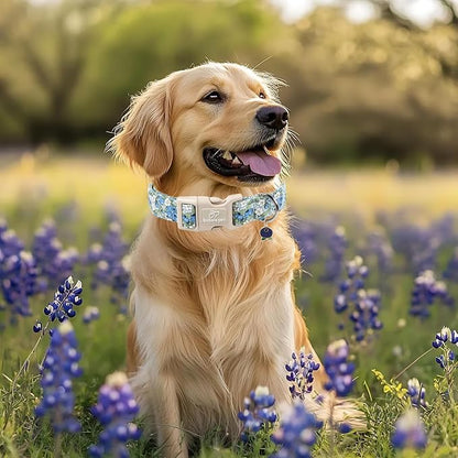 Blueberry Pattern Dog Collar, Cute Light Blue Spring Summer Puppy Collar - Image 7