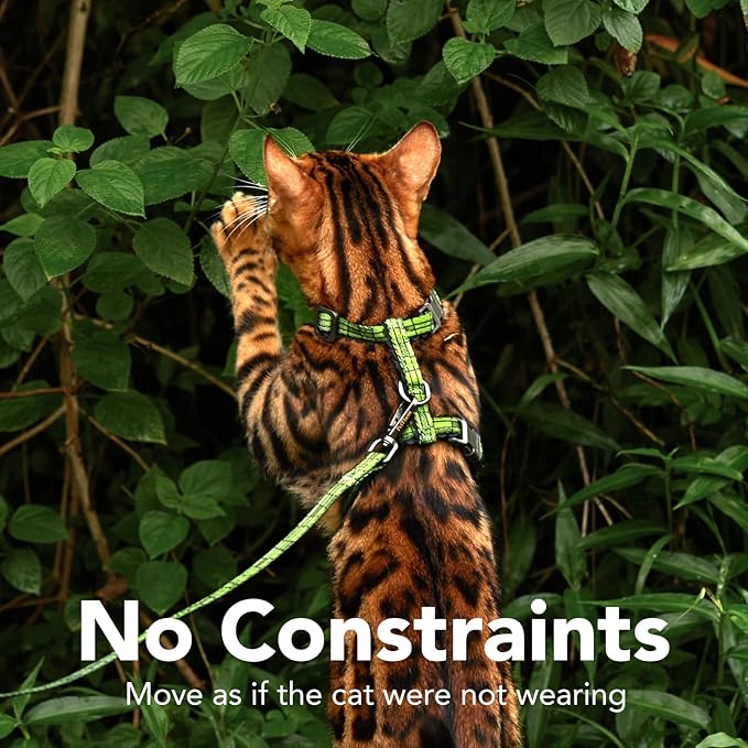 Cat Harness and Leash Set - Image 5