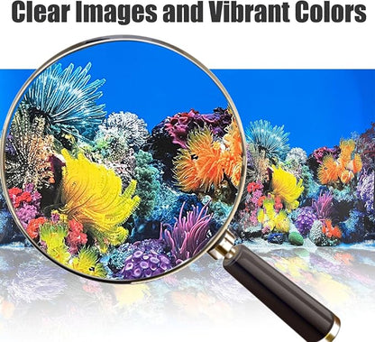 Fish Tank Background Sea Anemone Coral Theme Aquarium Background Poster Fish - Image 4