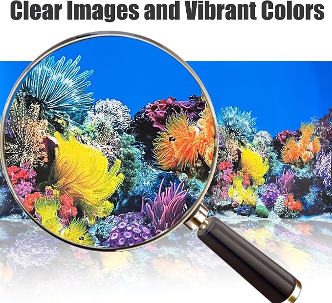 Fish Tank Background Sea Anemone Coral Theme Aquarium Background Poster Fish - Image 4