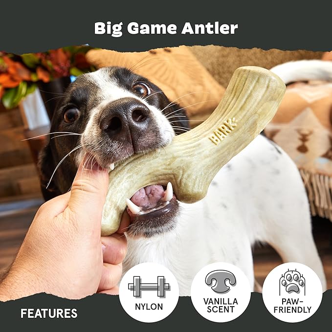 Barkbox Super Chewer Tough Dog Chew Toys - Image 4