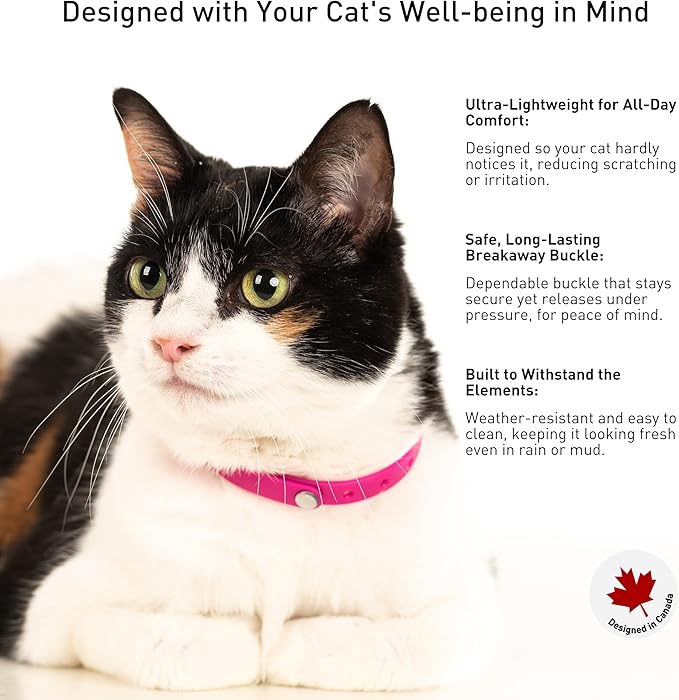 Breakaway Cat Collar - Image 4