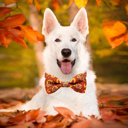 Thanksgiving Dog Collar with Bow Tie Set, Holiday Turkey Pattern Pet Collar - Image 6