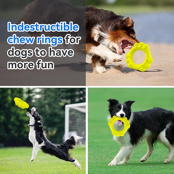 Indestructible Dog Chew Ring Toys - Image 6