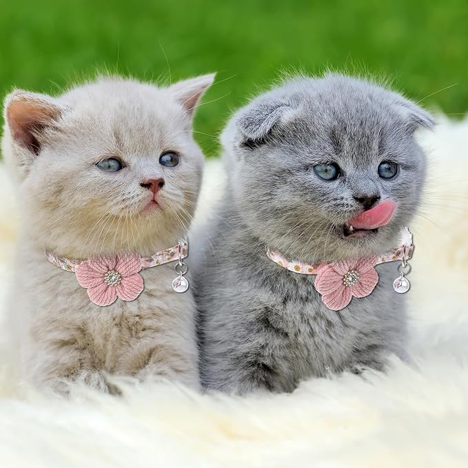 Cat Collars Breakaway Cat Collar - Image 5